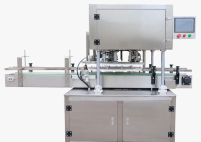 Automatic stainless steel seamer type MHFGJ100D-V1 overview